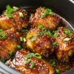 Easy Honey Garlic Slow Cooker Chicken Thighs Easy Honey Garlic Slow Cooker Chicken Thighs Easy Honey Garlic Slow Cooker Chicken Thighs in glossy sauce